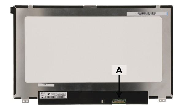 Latitude 12 5290 12.5" HD LED AG IPS Matte