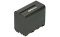 CCD-TRV930 Batterie (Cellules 6)